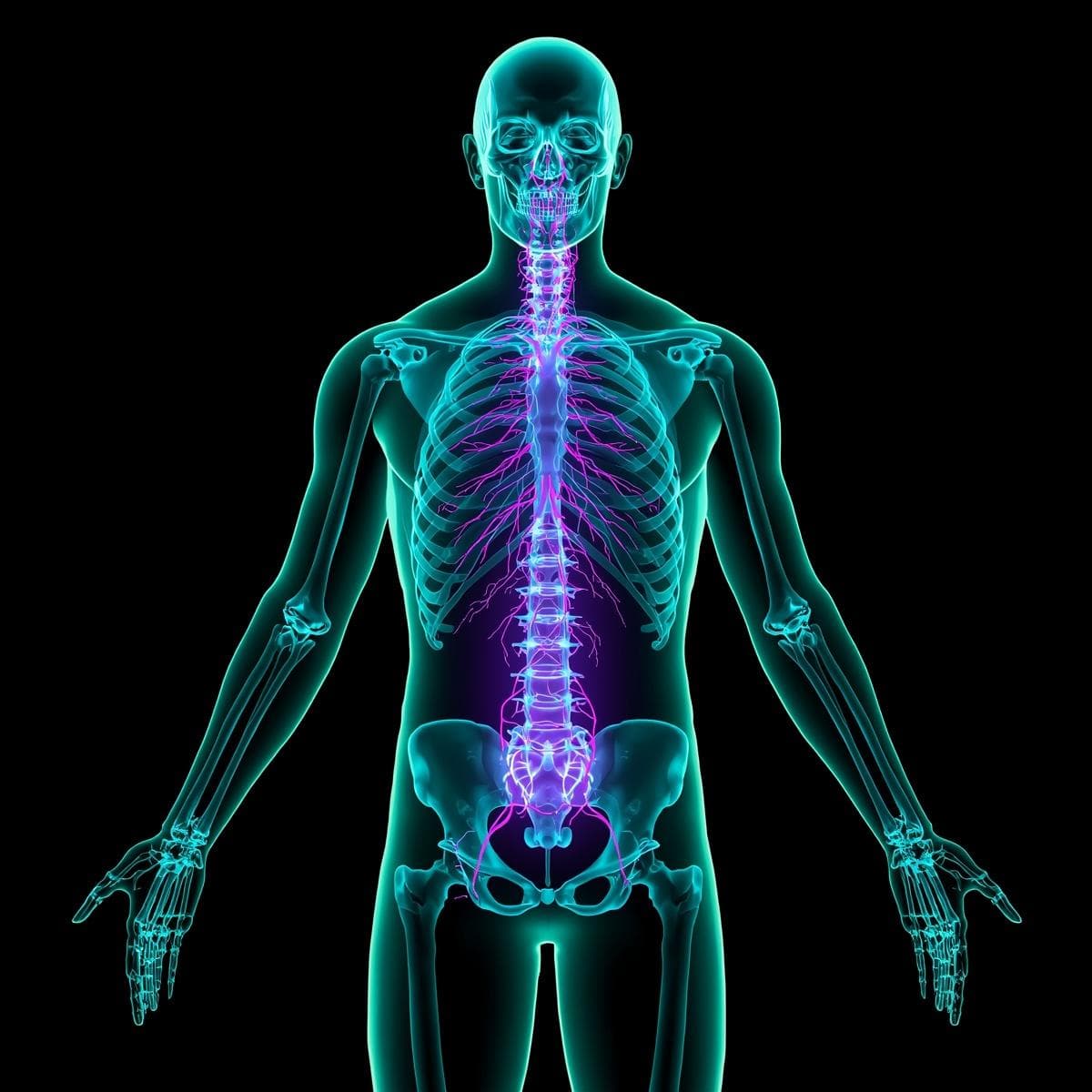 General / integración · cuerpo xray 1