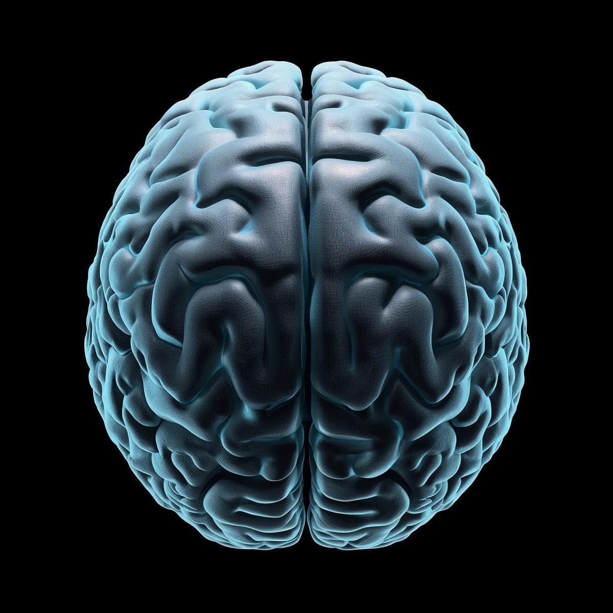 Neuro · cerebro lateral 04